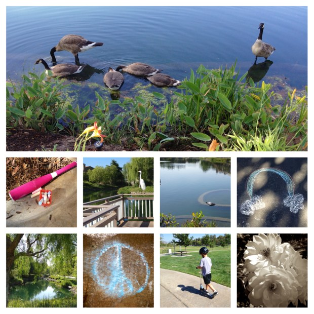 Photo by Stephanie Roberts, http://ObsessiveHobbyist.com