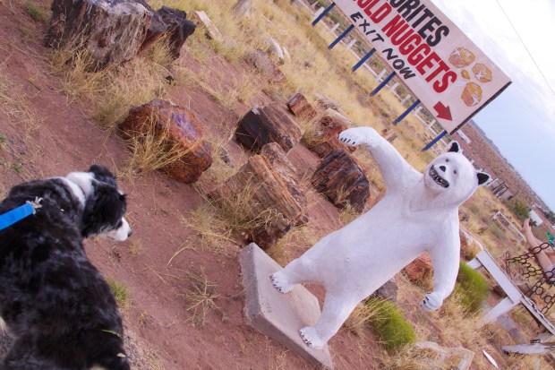 Photo by Stephanie Roberts, http://ObsessiveHobbyist.com