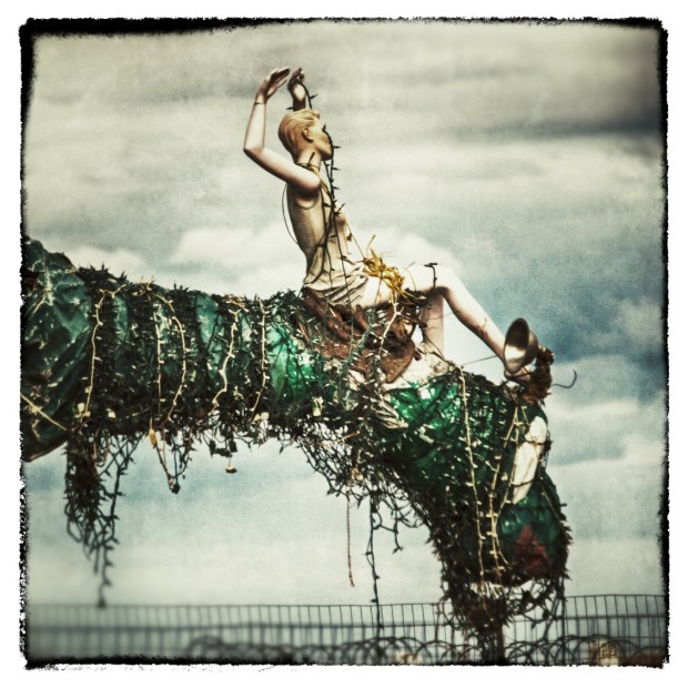 IMG_9260_HDR_Snapseed