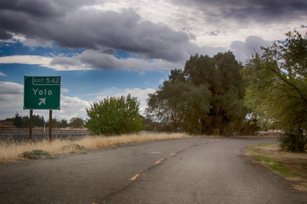 You Only Live Once...