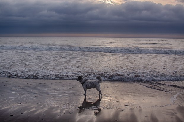 Photo by Stephanie Roberts, ObsessiveHobbyist.com